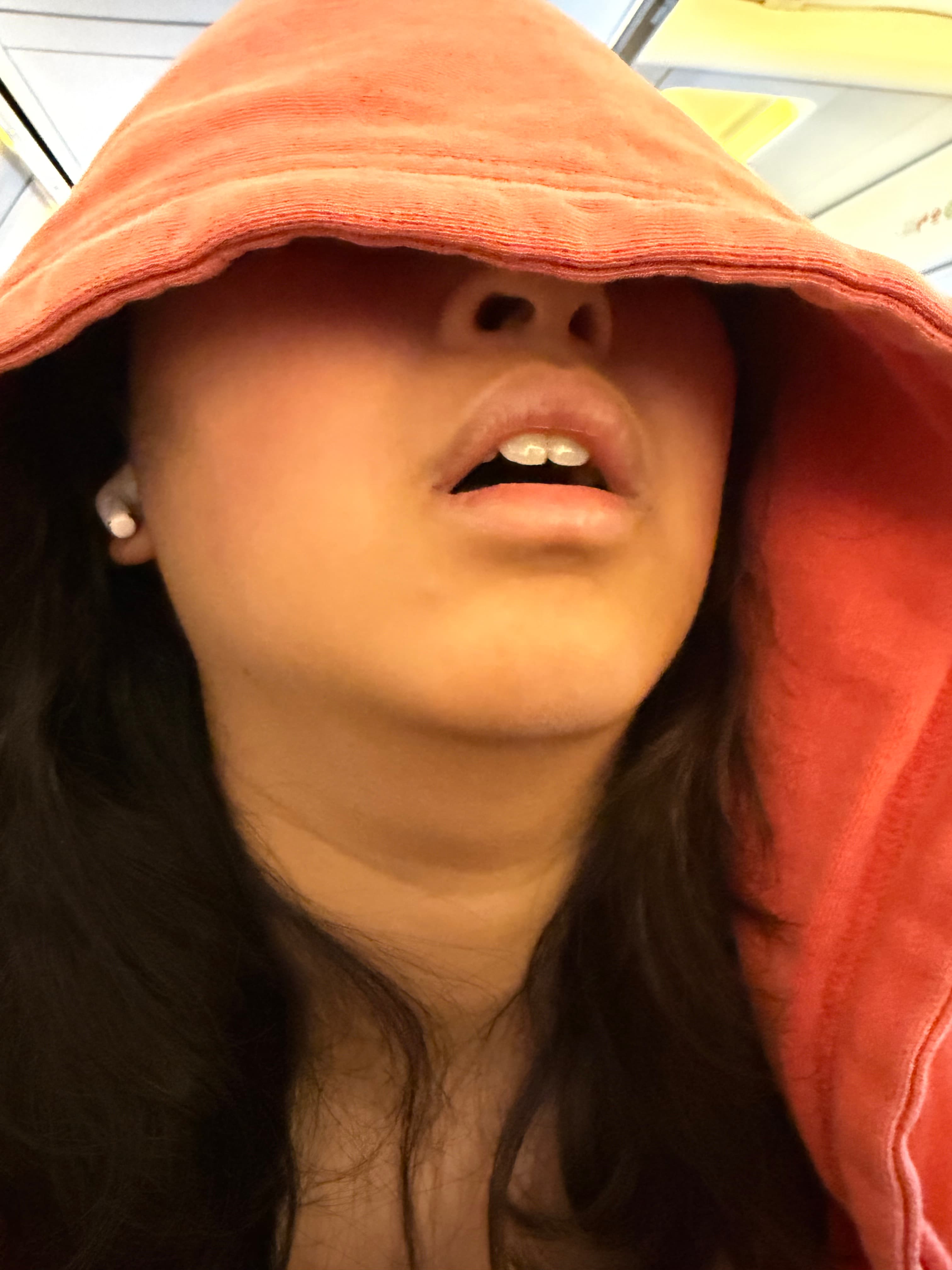 snoozer