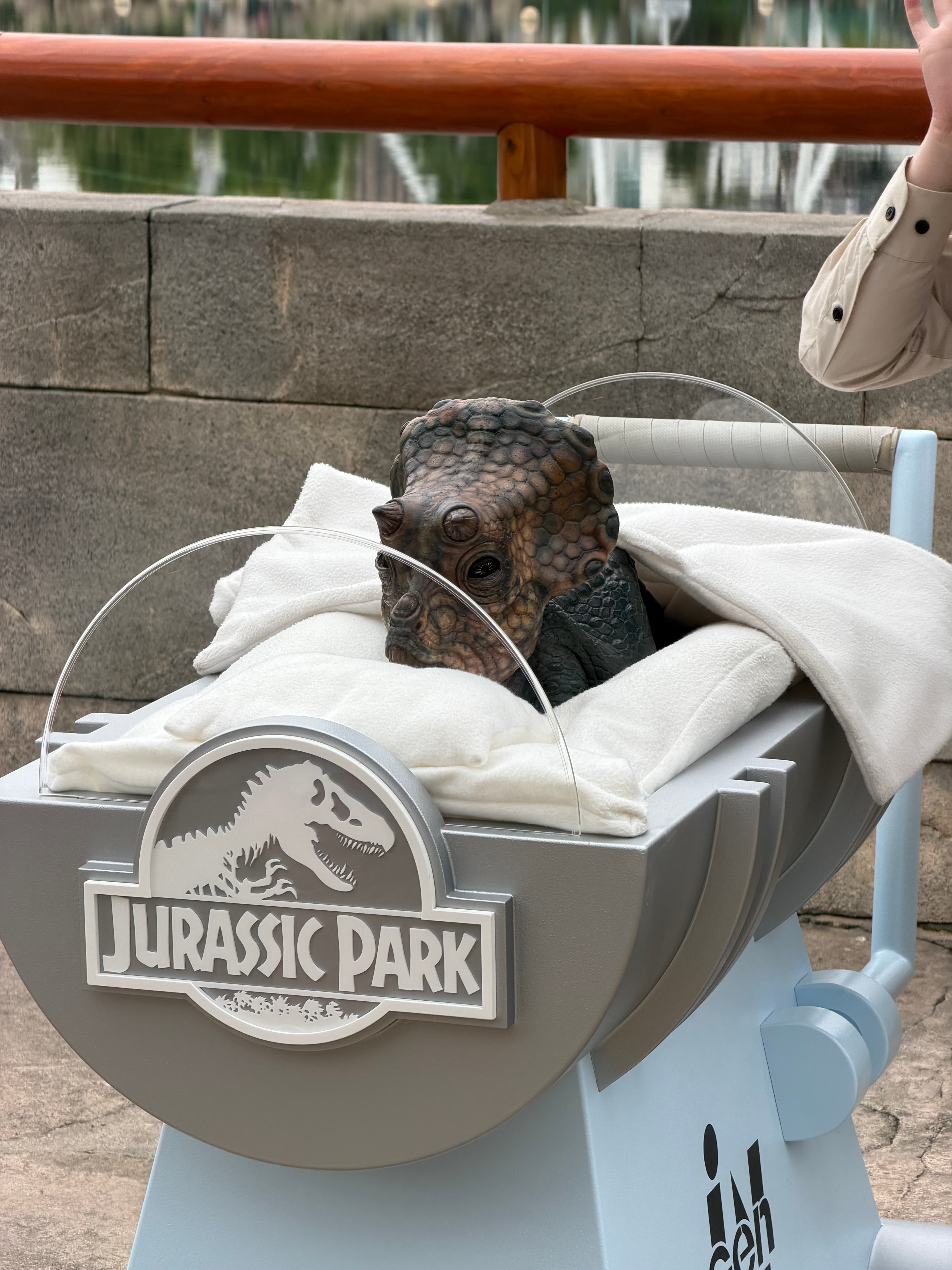 baby dino