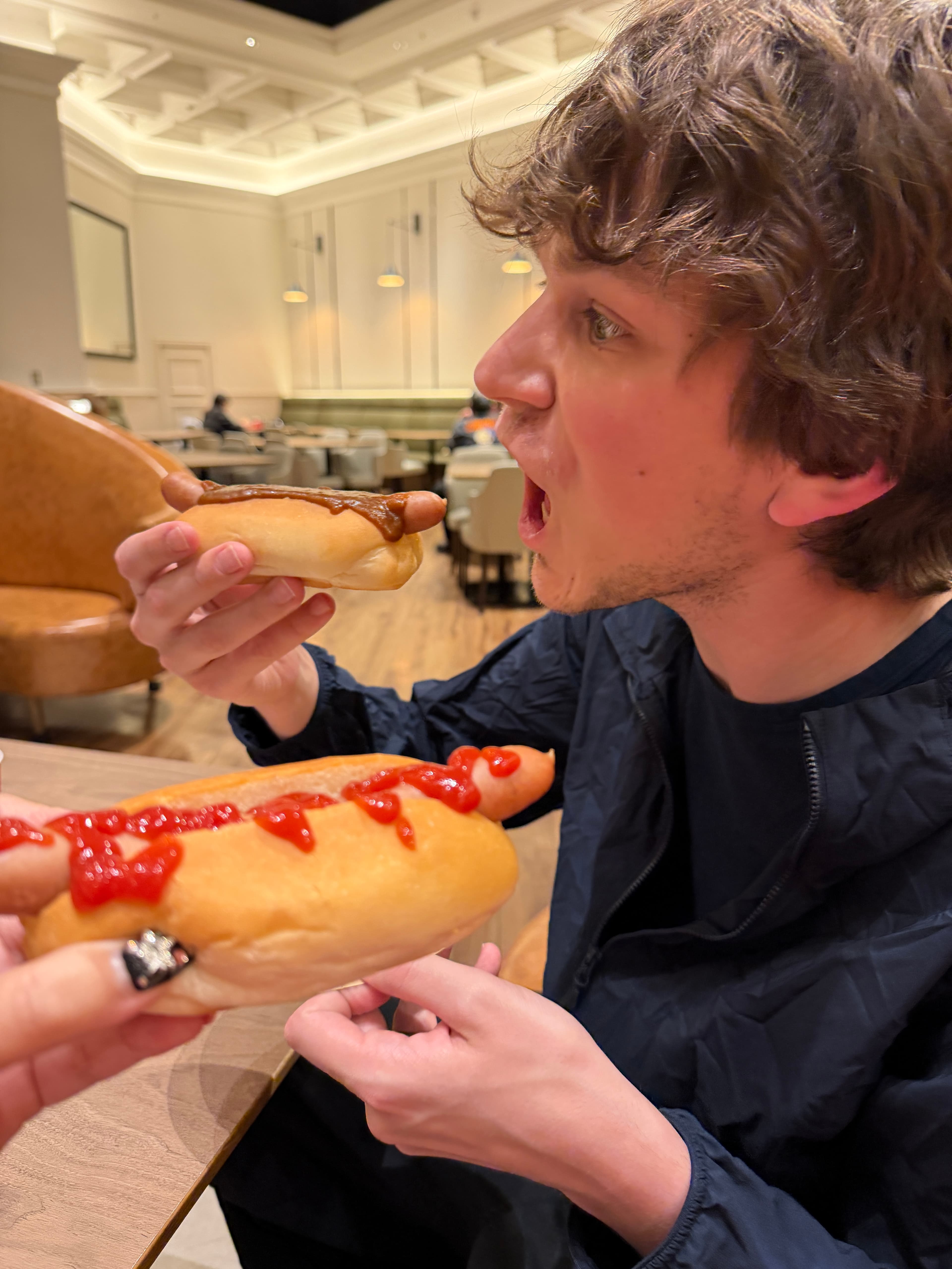 hotel hotdog