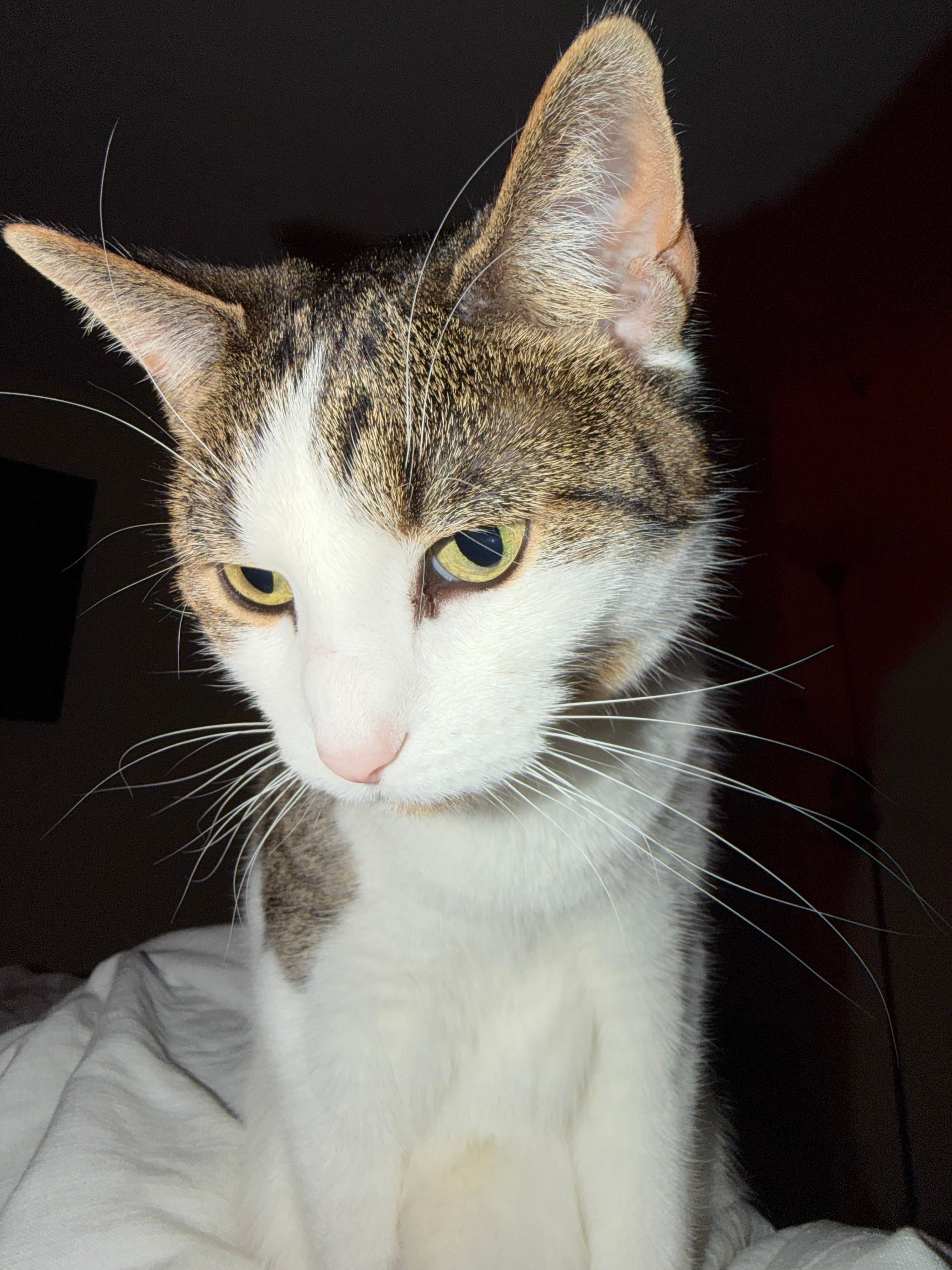 Saigon Runs Faster Than You Think